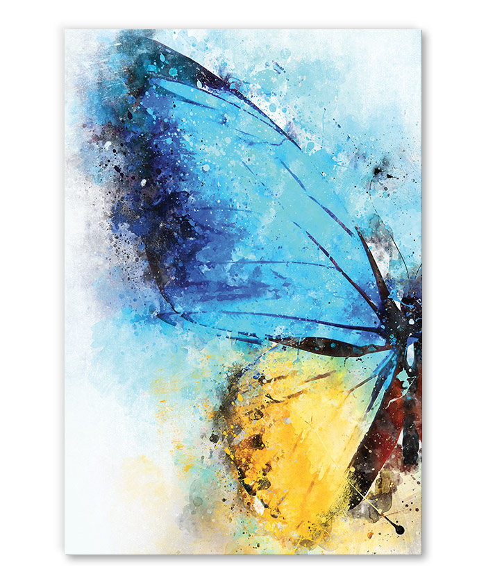 Tableau déco papillon aquarelle - Tableau Deco